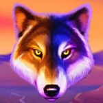 jungle wild wolf